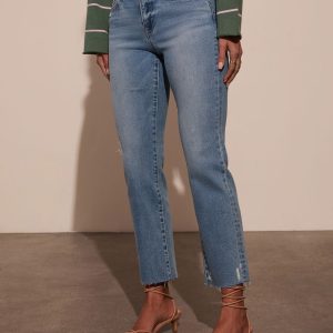Lainie Super Stretch Distressed Straight Leg Jeans